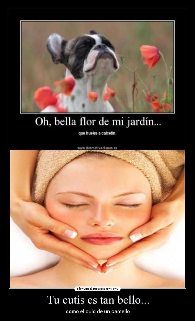 Tu cutis es tan bello... - 