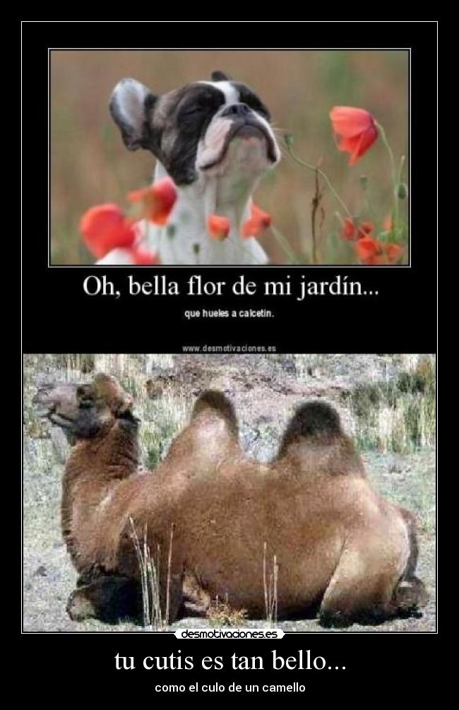 tu cutis es tan bello... -