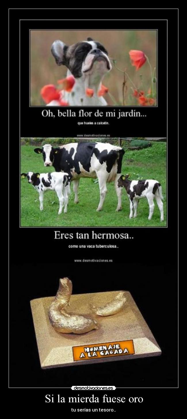 carteles bella flor desmotivaciones