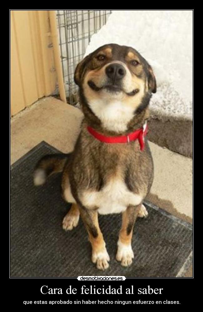 Cara de felicidad al saber - que estas aprobado sin haber hecho ningun esfuerzo en clases.