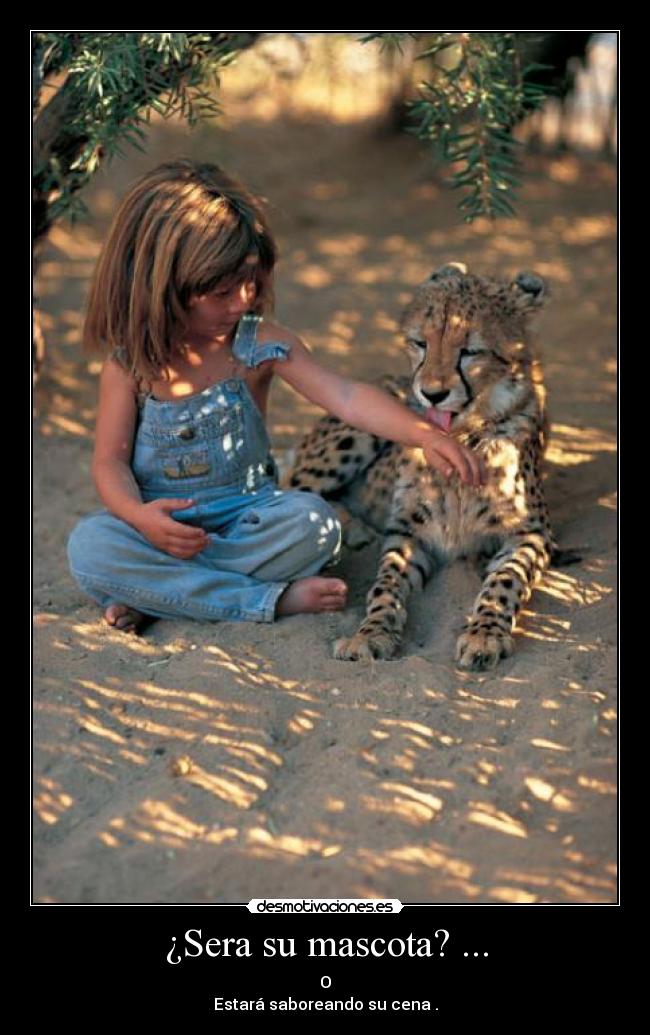 ¿Sera su mascota? ... - 