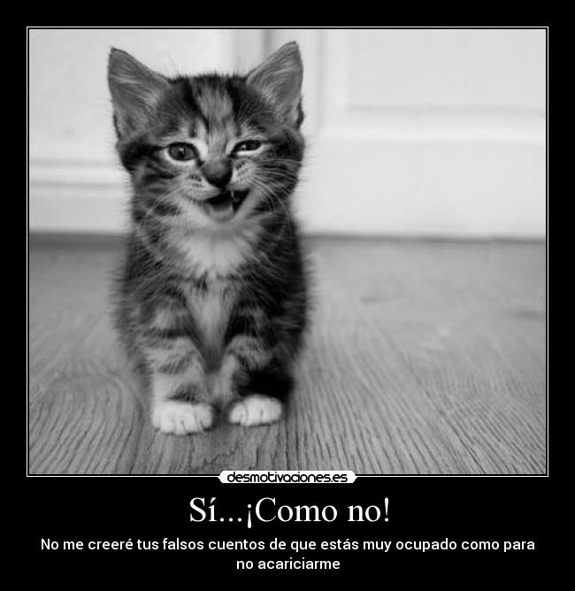 Sí...¡Como no! - No me creeré tus falsos cuentos de que estás muy ocupado como para no acariciarme