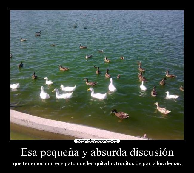 Esa pequeña y absurda discusión - 