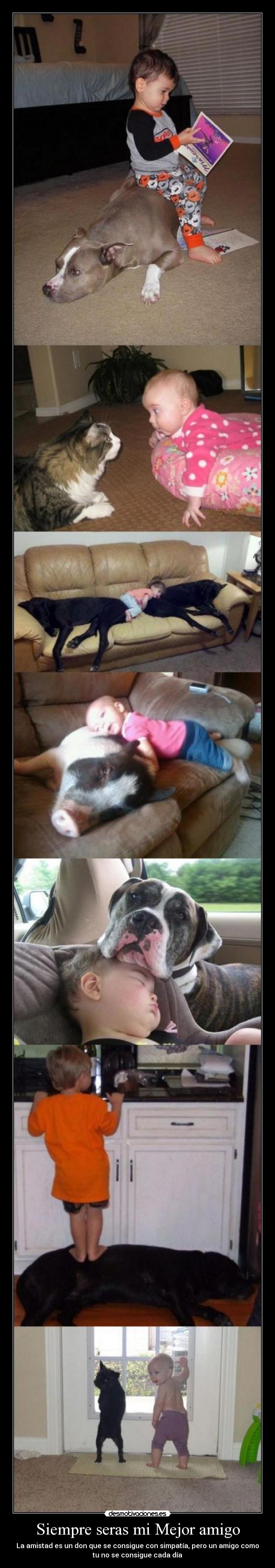 Siempre seras mi Mejor amigo -