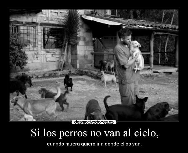 Si los perros no van al cielo, -