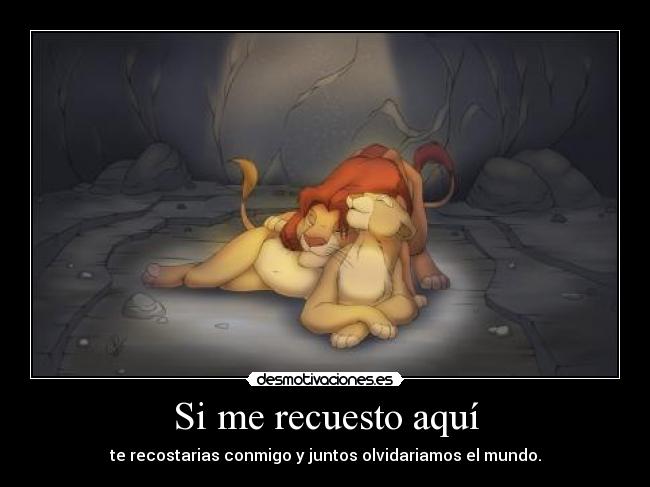 carteles chasing cars snow patrol simba desmotivaciones