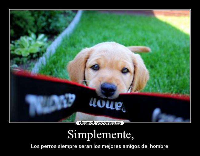 Simplemente, -