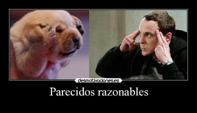Parecidos razonables -