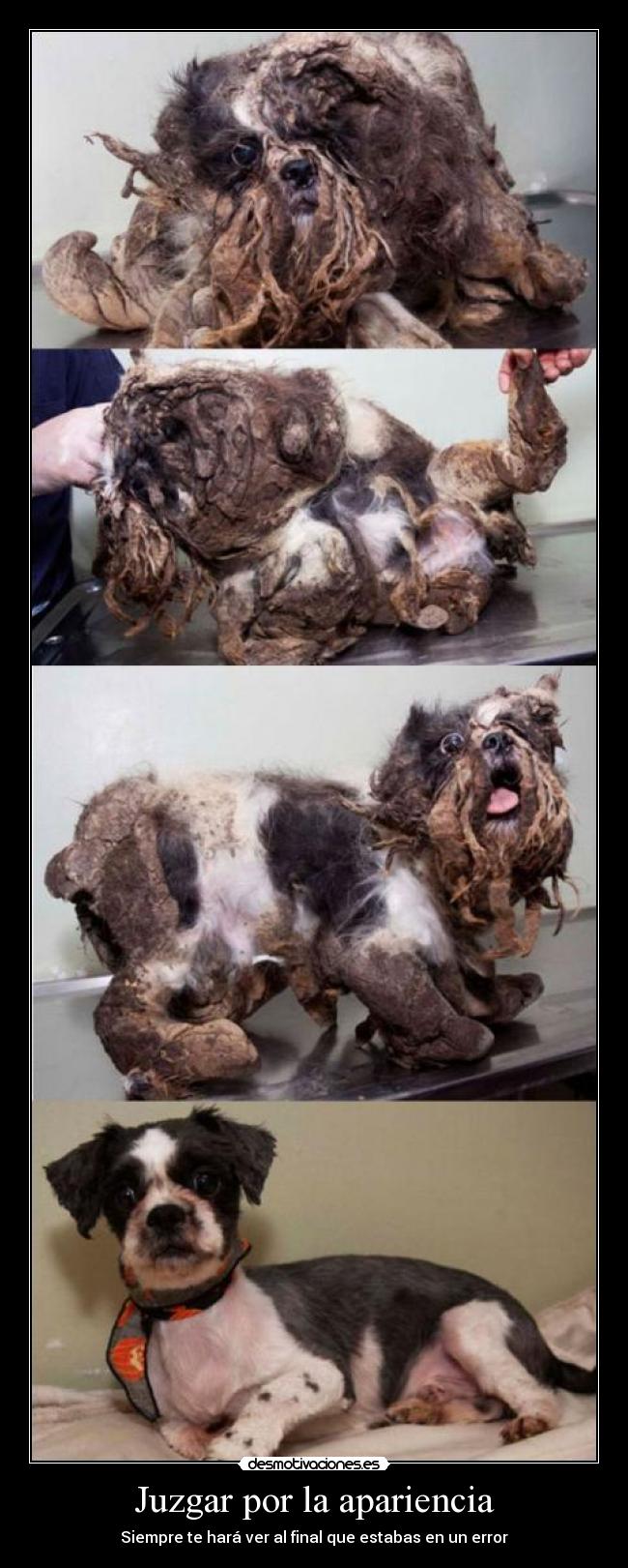 Juzgar por la apariencia - Siempre te hará ver al final que estabas en un error