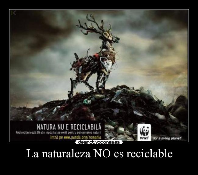 La naturaleza NO es reciclable - 