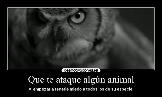 Que te ataque algún animal - y  empezar a tenerle miedo a todos los de su especie.