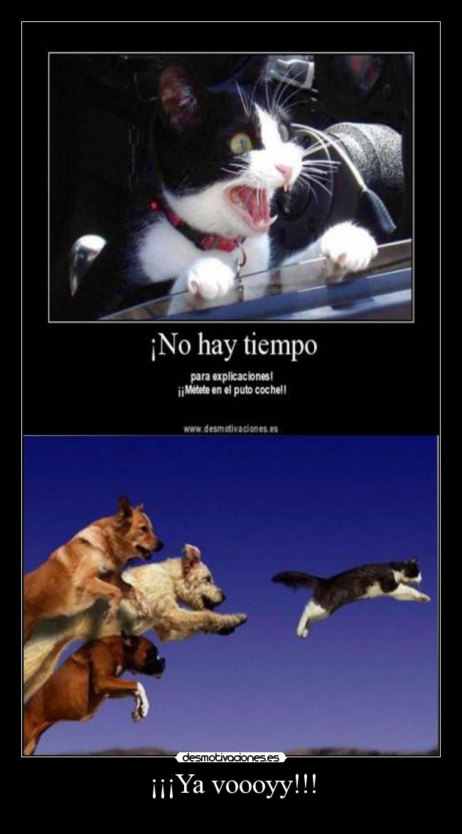 ¡¡¡Ya voooyy!!! -
