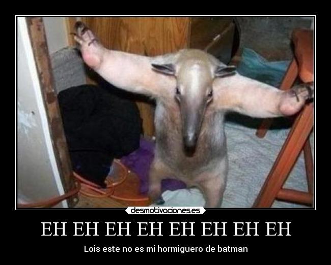 EH EH EH EH EH EH EH EH -