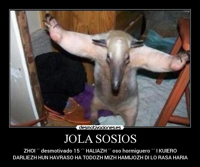 JOLA SOSIOS - ZHOI `` desmotivado 15 ´´ HALIAZH `` oso hormiguero ´´ I KUIERO
DARLIEZH HUN HAVRASO HA TODOZH MIZH HAMIJOZH DI LO RASA HARIA