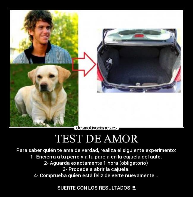 TEST DE AMOR - Para saber quién te ama de verdad, realiza el siguiente experimento:
1- Encierra a tu perro y a tu pareja en la cajuela del auto.
2- Aguarda exactamente 1 hora (obligatorio)
3- Procede a abrir la cajuela.
4- Comprueba quién está feliz de verte nuevamente...
SUERTE CON LOS RESULTADOS!!!!.