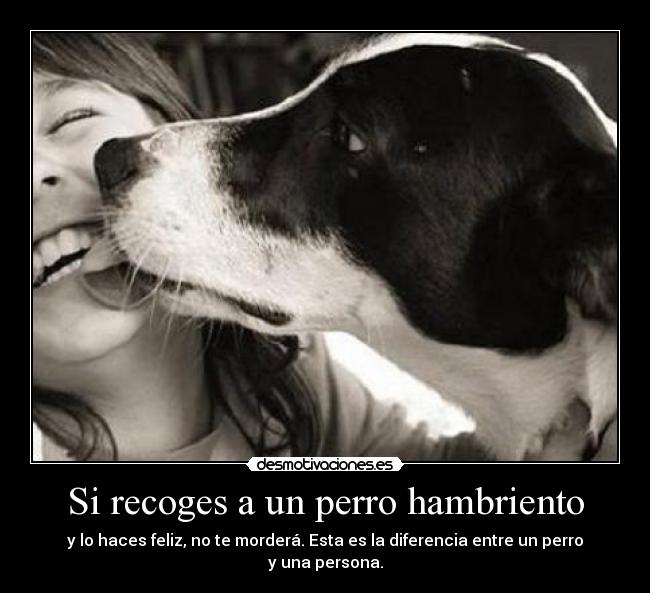 Si recoges a un perro hambriento - y lo haces feliz, no te morderá. Esta es la diferencia entre un perro y una persona.