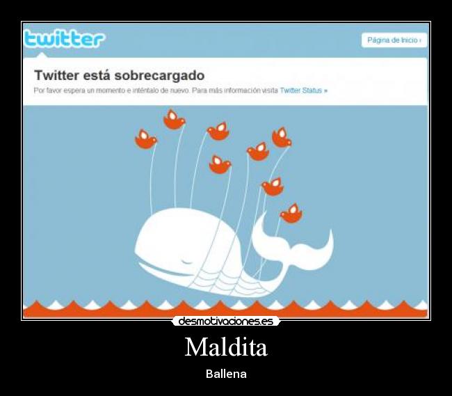 Maldita - Ballena