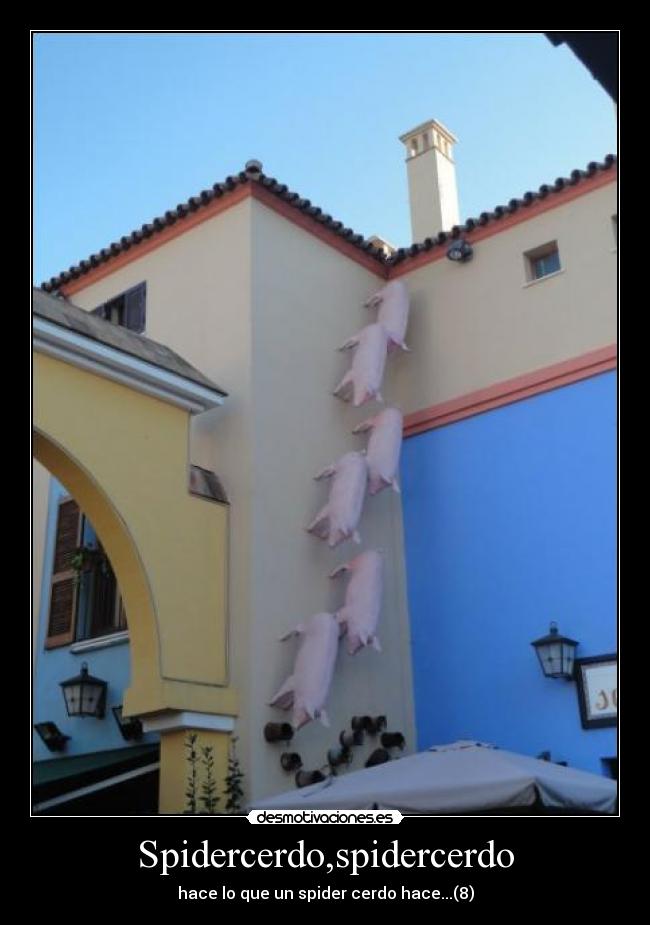 Spidercerdo,spidercerdo -