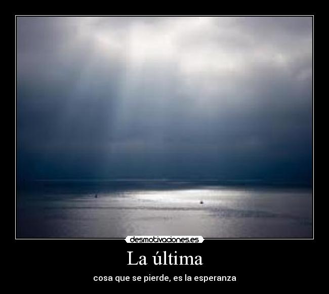 carteles sdf desmotivaciones