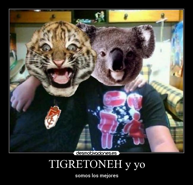 carteles tigretoneh clanng clantigretoneh kolangi desmotivaciones