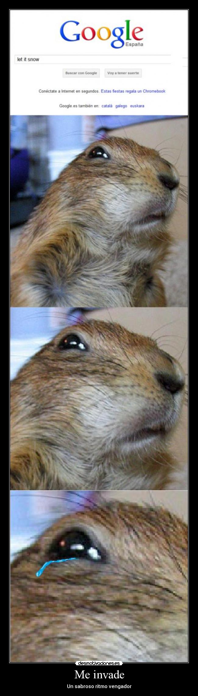 carteles las ardillas molan desmotivaciones