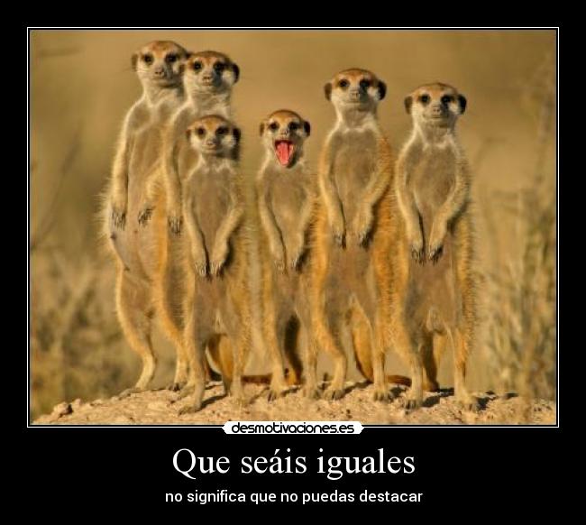 Que seáis iguales - no significa que no puedas destacar