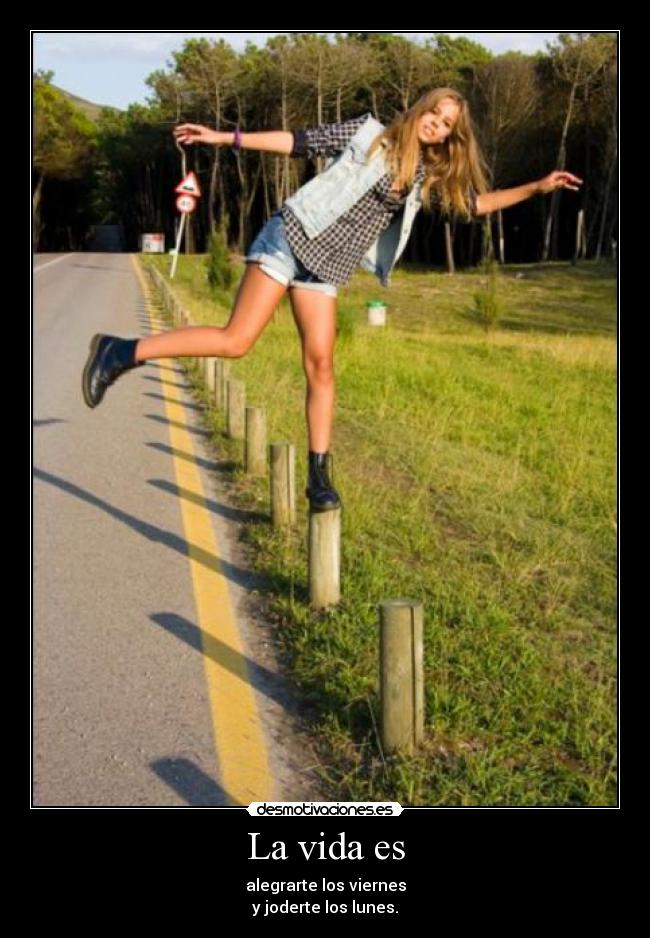 carteles vida desmotivaciones