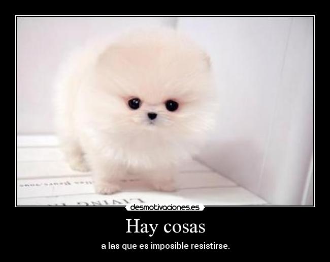 Hay cosas - a las que es imposible resistirse.