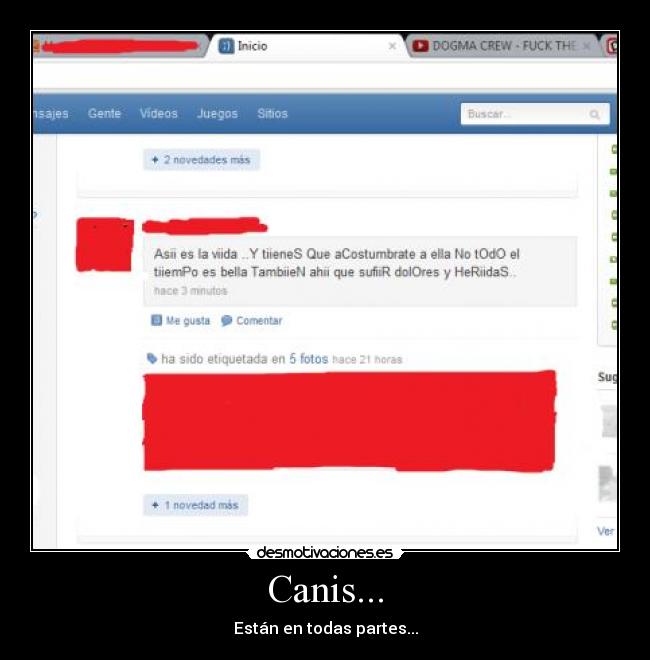 Canis... -
