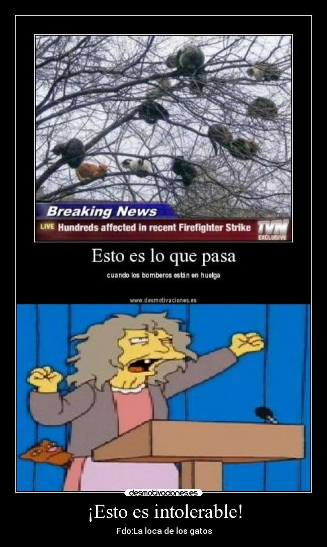 ¡Esto es intolerable! - Fdo:La loca de los gatos