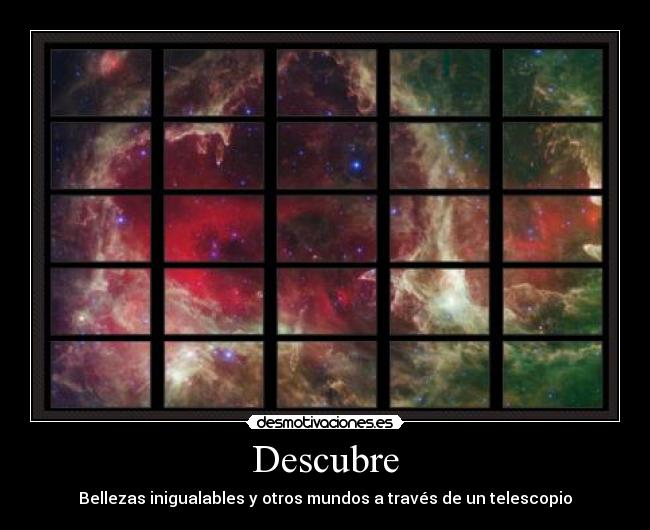 Descubre - 