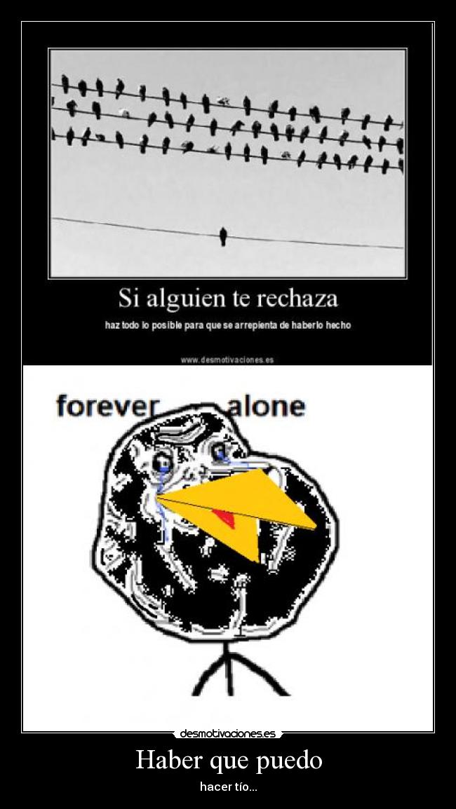 carteles suerte forever bird desmotivaciones