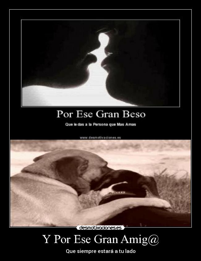 carteles desmotivaciones