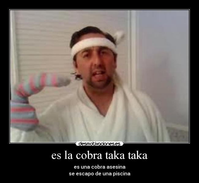 es la cobra taka taka -