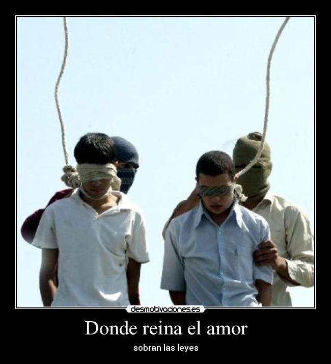 Donde reina el amor - 