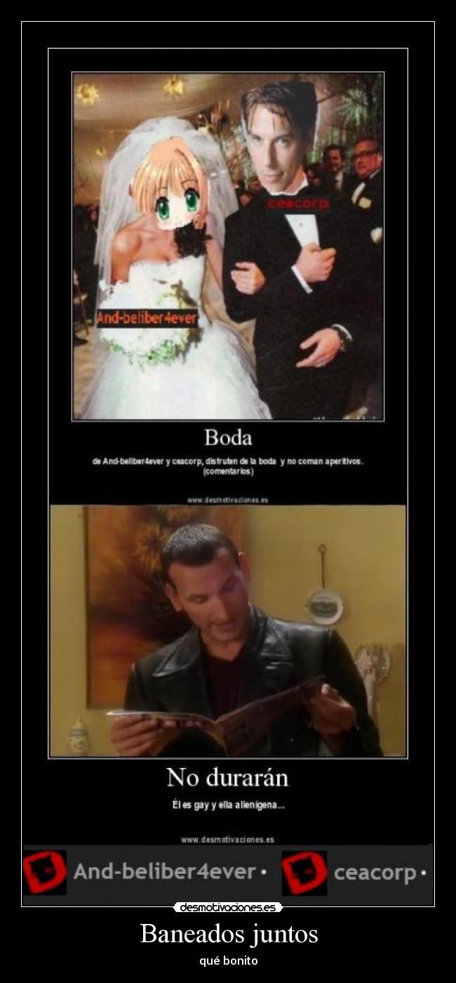 carteles clantimelord pareja baneada junta oish que lloro whovian desmotivaciones