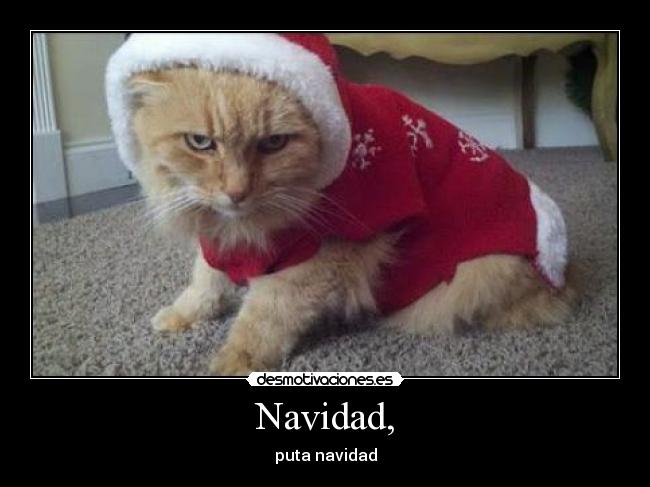 Navidad, -
