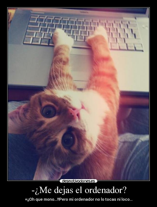 -¿Me dejas el ordenador? - +¡¡Oh que mono...!!Pero mi ordenador no lo tocas ni loco...