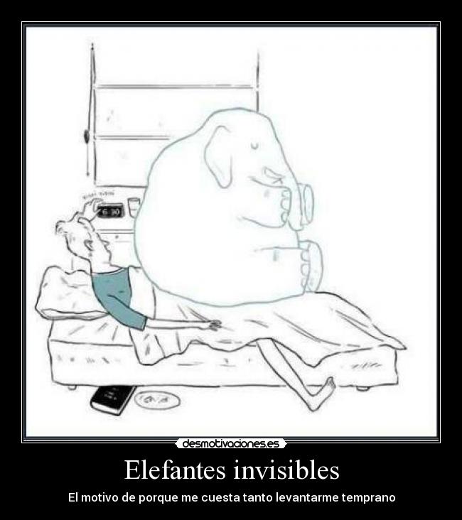 Elefantes invisibles -