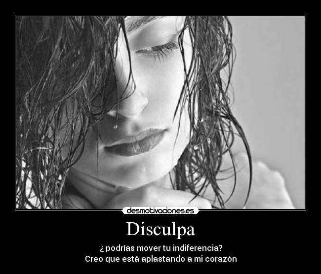 Disculpa - 