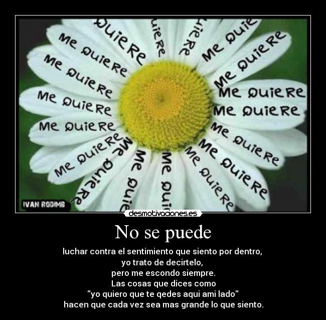 No se puede - luchar contra el sentimiento que siento por dentro, 
yo trato de decirtelo, 
pero me escondo siempre.
Las cosas que dices como
 yo quiero que te qedes aqui ami lado 
hacen que cada vez sea mas grande lo que siento.