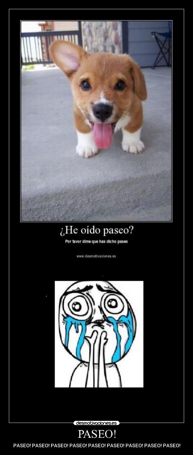 PASEO! - PASEO! PASEO! PASEO! PASEO! PASEO! PASEO! PASEO! PASEO! PASEO!