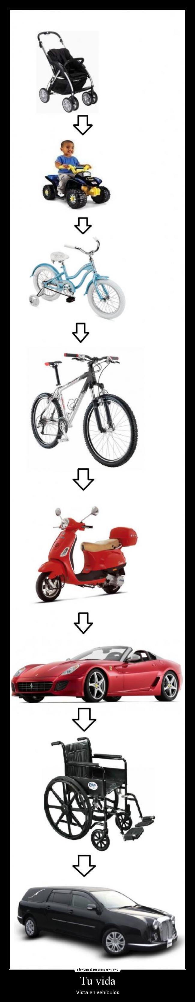 Tu vida - Vista en vehículos