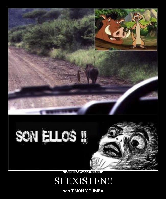 SI EXISTEN!! - son TIMÓN Y PUMBA