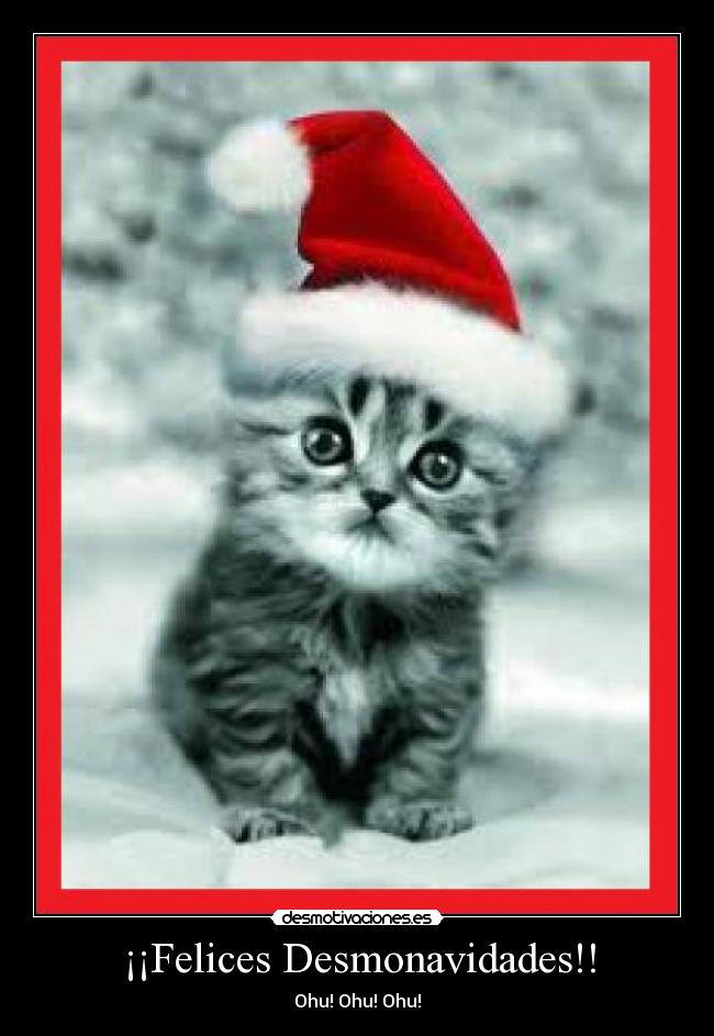 ¡¡Felices Desmonavidades!! - 