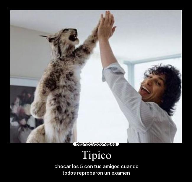 Tipico - 