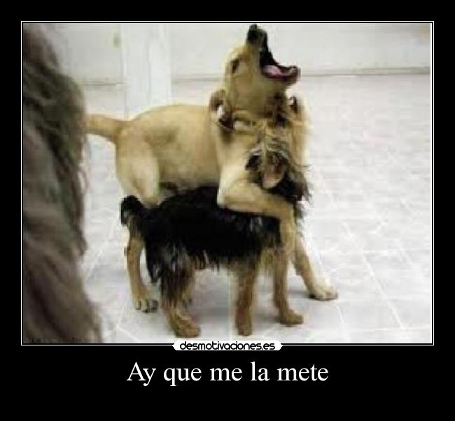 carteles juanma desmotivaciones