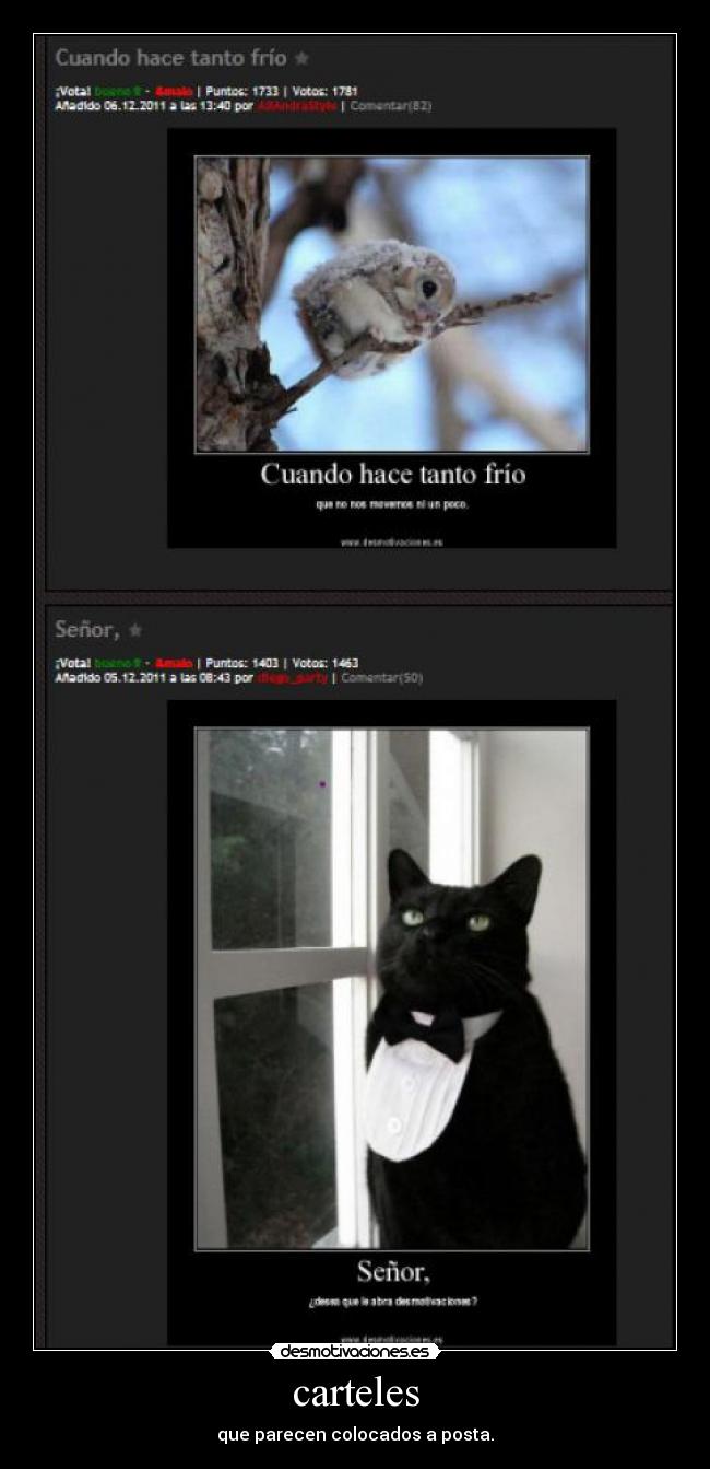 carteles - que parecen colocados a posta.