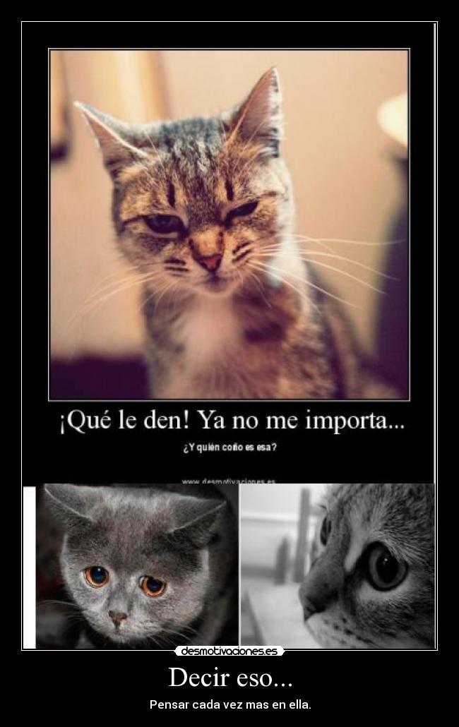 Decir eso... - Pensar cada vez mas en ella.