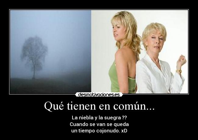 Qué tienen en común... - La niebla y la suegra ??
Cuando se van se queda
un tiempo cojonudo. xD